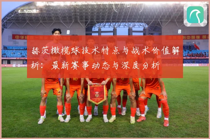 赫茨橄榄球技术特点与战术价值解析：最新赛事动态与深度分析